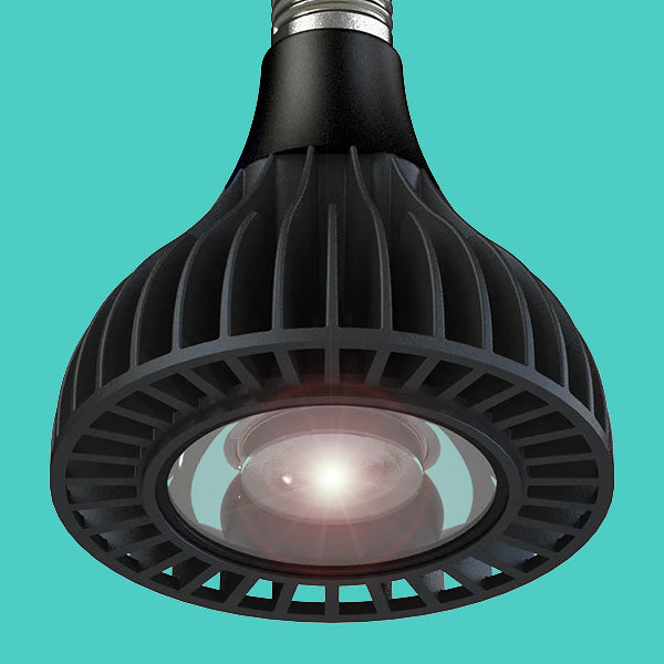 Lighting