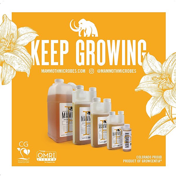 mammoth-p-organic-bloom-booster-feature-2