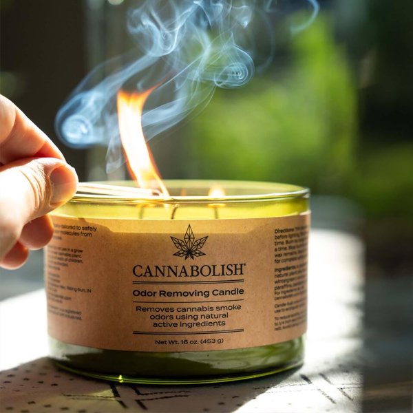 cannabolish-cannabis-odour-removing-triple-wick-candle-wintergreen-16oz-453g-2