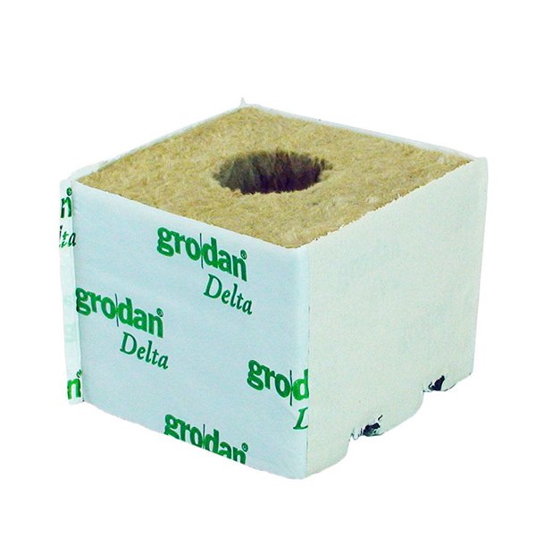 Front of Medium Grodan Rockwool with pinhole.