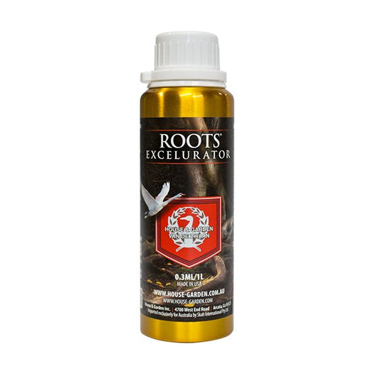 250ml aluminium bottle with white screw cap