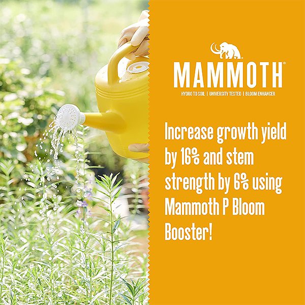 mammoth-p-organic-bloom-booster-feature-1